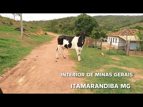 INTERIOR DE MINAS GERAIS | ENTRE FAZENDAS E SÍTIOS, PELAS ESTRADAS RURAIS DE MINAS, ITAMARANDIBA MG