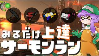 【野良】見るだけ上達サモラン！スシデュア黒傘バレルでムニエール🐋カンスト300回【スプラトゥーン3/サーモンランNW】