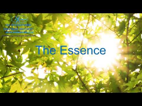 IBI Academy - The Essence - The International Breathing Institute