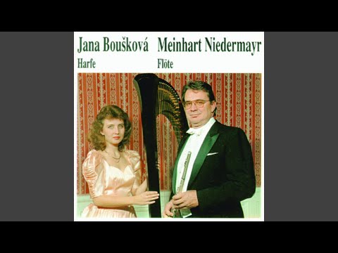 Sonate in C-Moll, 2.Satz - Andante-Allegro-Andante