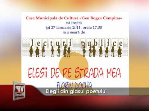 Elegii din glasul poetului