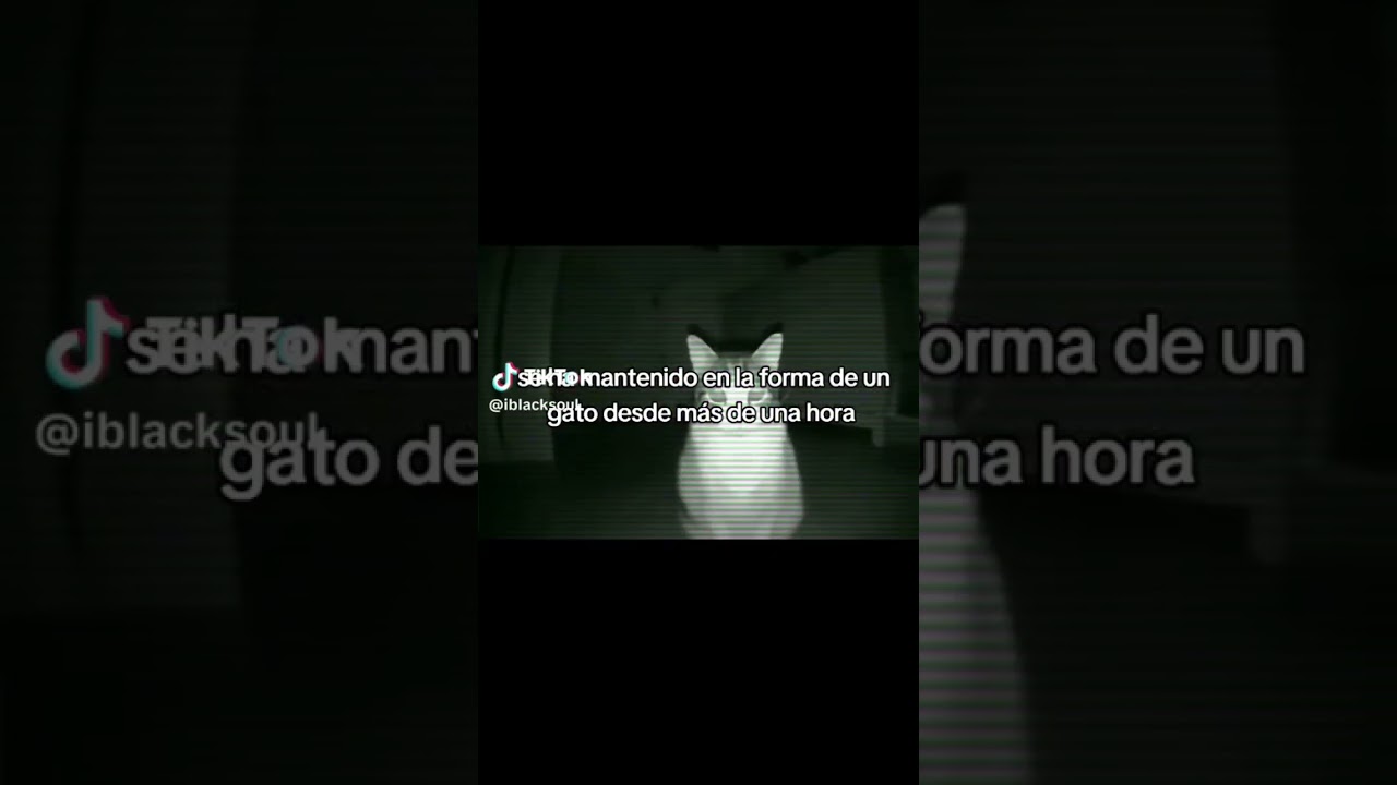 22 de octubre de 2024