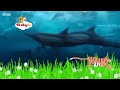 Go Eco Zoo Animal Babytv Engilsh