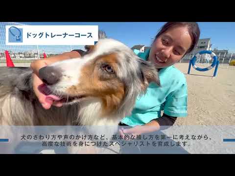 ナンバペット美容学院「学校紹介」動画