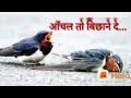Jis Path Pe Chala