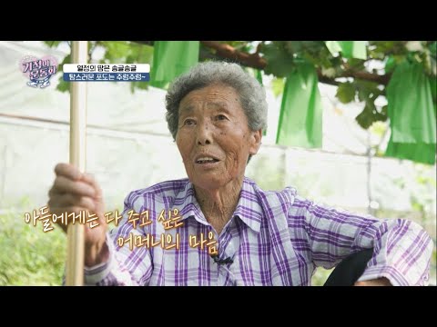 [기적의운동화 시즌2] 한평생 해온 농사일로 굽어버린 최명예 어머니의 무릎과 허리