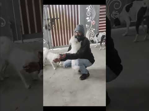 ❤️❤️❤️❤️❤️ #doglover