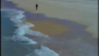 Daryl Braithwaite - The Horses