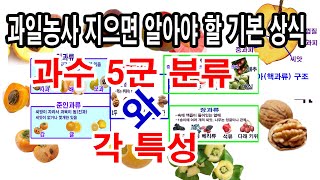 과일농사 지으려면 알아야 할 기본상식, 과수 5군분류와 각 특성(과일 5군, 인과류,준인과류,핵과류,장과류,…