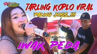 Download lagu IWAK PEDA PALING JOSS! 🔥 Tarling Koplo Viral – Eva Meliana - OKDJ Musical - Mg Studio Multimedia mp3