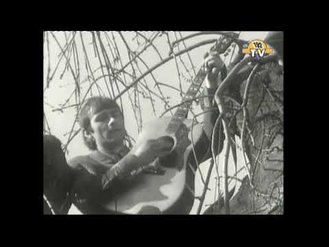 Crispian St Peters - But she's untrue ( Original Video On Location In A Tree1966 )