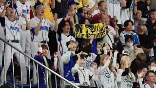 2024.11.23 #プレミア12　日本VS台湾戦での江坤宇応援　#台湾チア