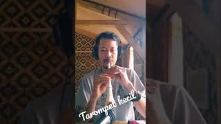 Download lagu Tarompet Kecil Lucu mp3 Download lagu Tarompet Kecil Lucu mp3