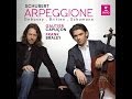 Gautier CAPUCON - Frank BRALEY Arpeggione.