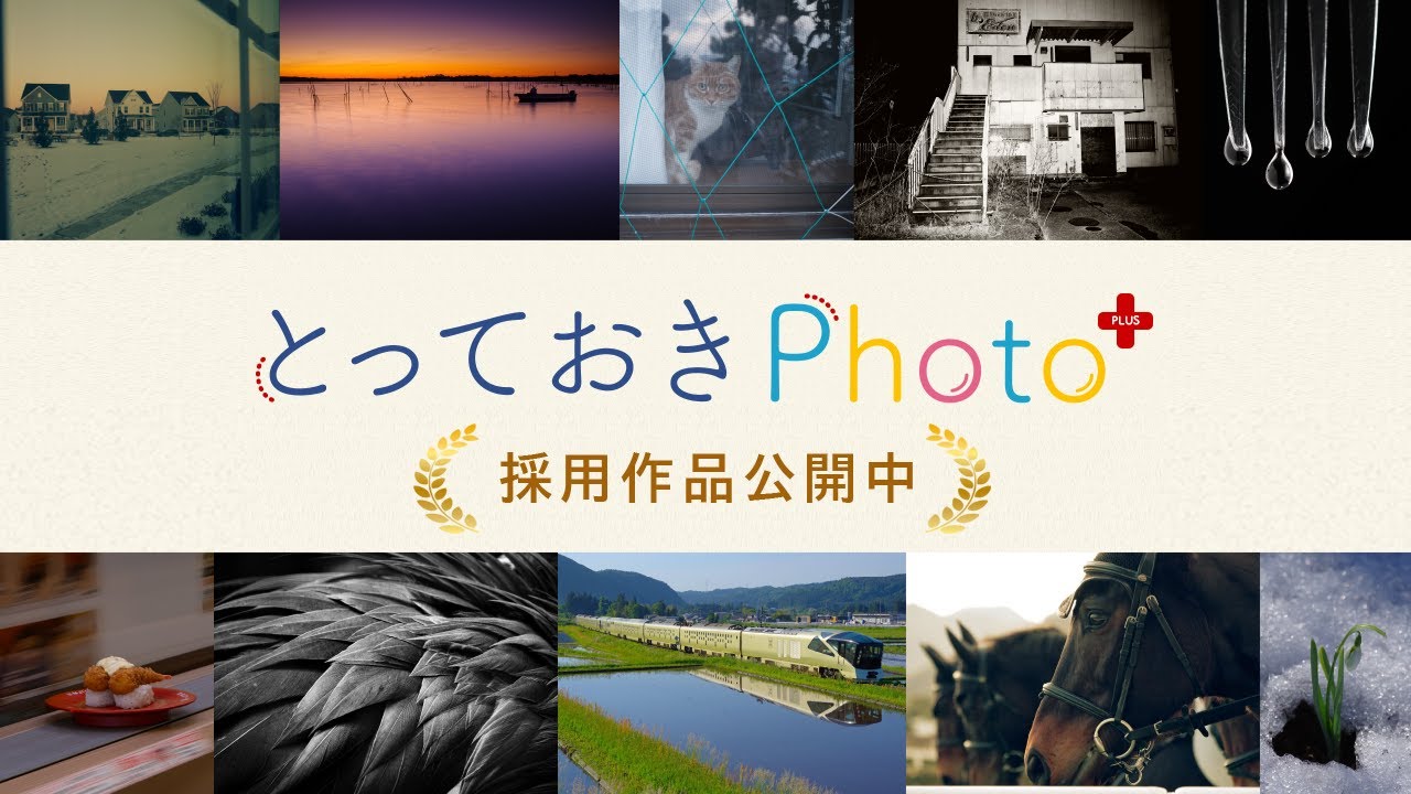 とっておきPhoto+ 採用作品［2025.5］PENTAX / GR --- RICOH IMAGING ---