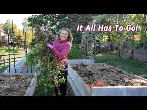 Revamping the Garden: Preparing for Spring Renewal