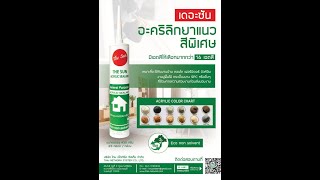 ไทย เน็ตเวิร์ค ซีสเท็ม / เดอะซัน อะคริลิกยาแนวสีพิเศษ ไทย เน็ตเวิร์ค ซีสเท็ม / เดอะซัน อะคริลิกยาแนวสีพิเศษ