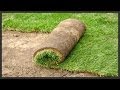 How to Install Sod. 