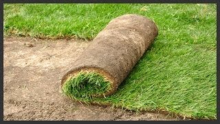 How to Install Sod.