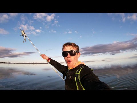 24 HOUR SOLO SURVIVAL CHALLENGE - NO FOOD AND ONLY A HAND SPEAR - Living From The Ocean