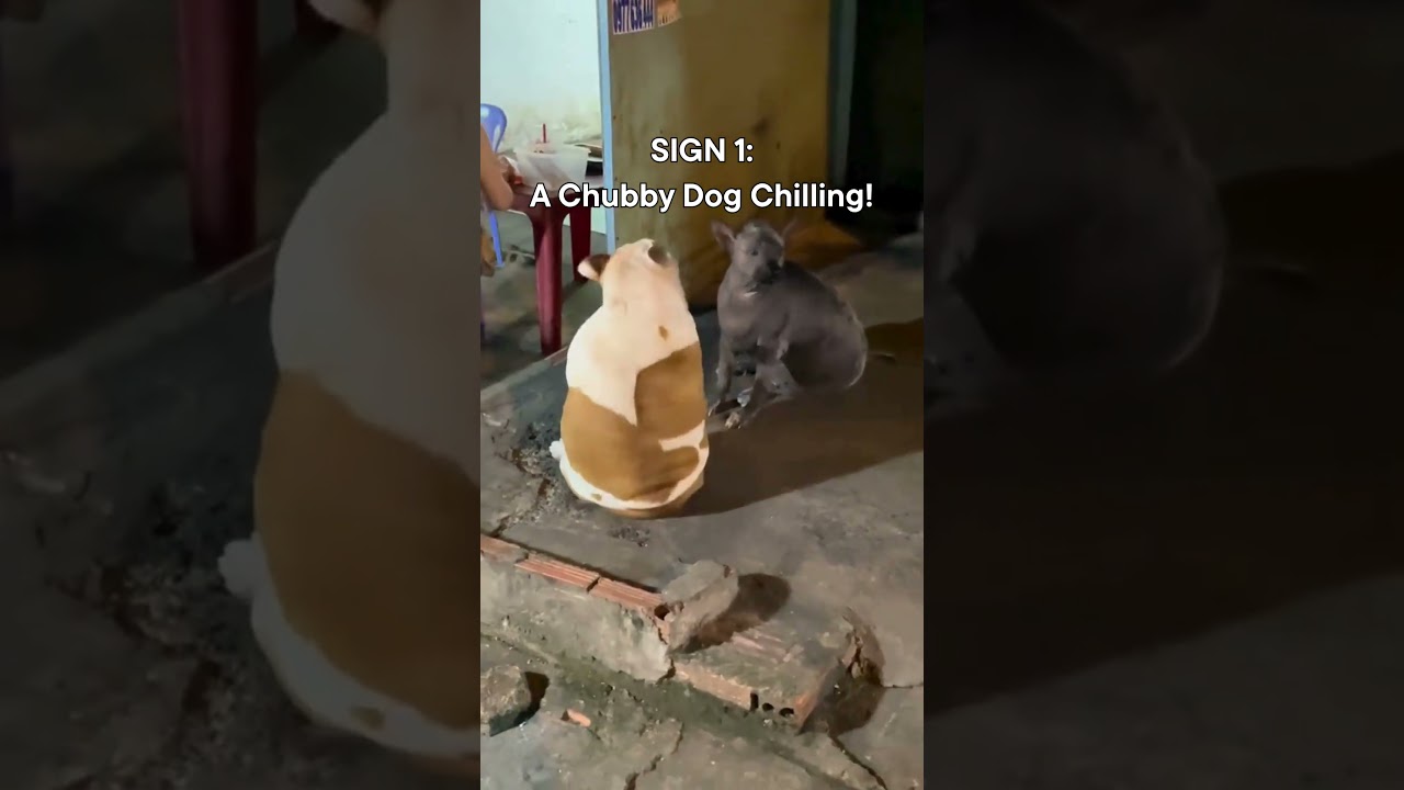 Top 3 Signs of An Authentic Vietnamese Restaurants