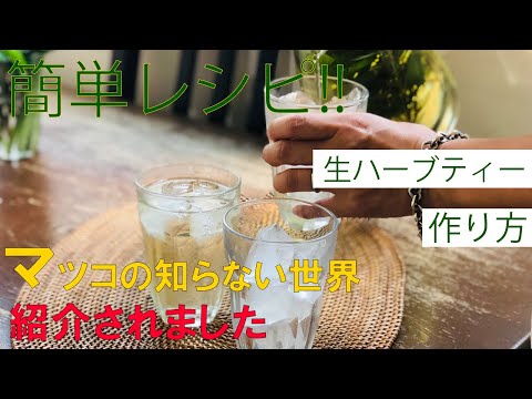 最高のティーハーブ12選 トピックス