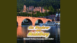 Auf, du junger Wandersmann (feat. Kinderchor Heidelerchen)