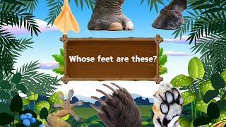 Whose Feet Are These? | 15 Animal Feet Matching | Animal Quiz | Children's Observation Quiz