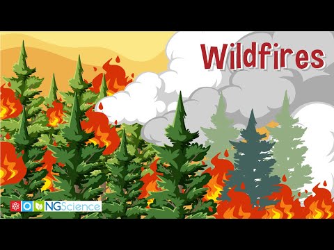 Wildfires