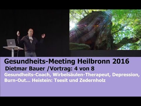 Dietmar Bauer - Gesundheits-Meeting Heilbronn - Heilsteine & Depression| Bewusst.TV - 22.8.2016