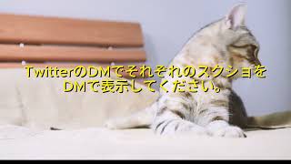 プレゼント企画開催