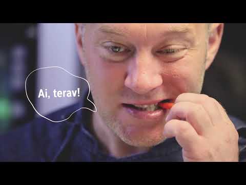 Forelli ja brokoli suvine samba Aura Vege kõrvitsapüreesupiga