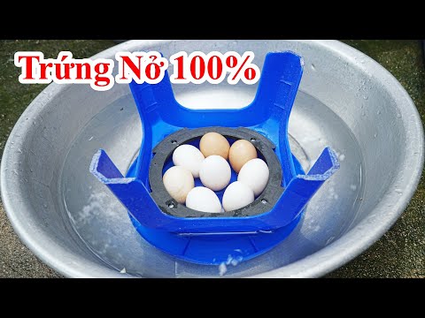 , title : 'Cách Làm Trứng Gà Ấp Nở 90% - 100% Dành Cho Những Ai Cần / Mẹo Ấp Trứng Gà Nở Hết Không Bị Ung Hư'