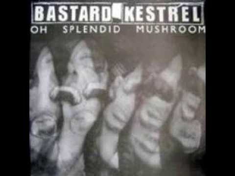 John Peel's Bastard Kestrel - (Born) Brain Stupid