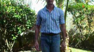 meridiano pulmao