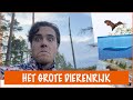 De grootste dieren ter wereld!| DierenpraatTV