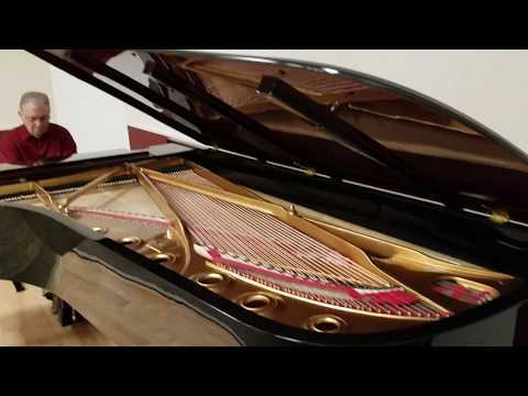 Steinway D PianoCraft rebuild