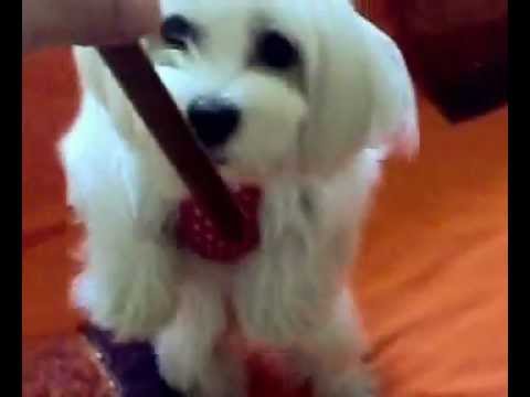 Non ci provare!!!.mp4