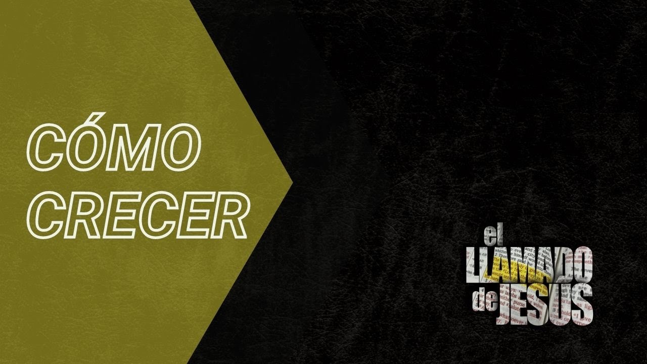 24   CÓMO CRECER Necesitan familia, no reuniones