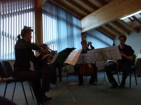 Schumann 'Mondnacht' arr. Colin Matthews (2009)