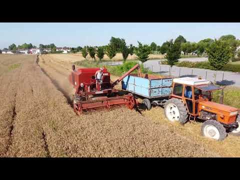 TREBBIATURA GRANO 2021 - Laverda M120