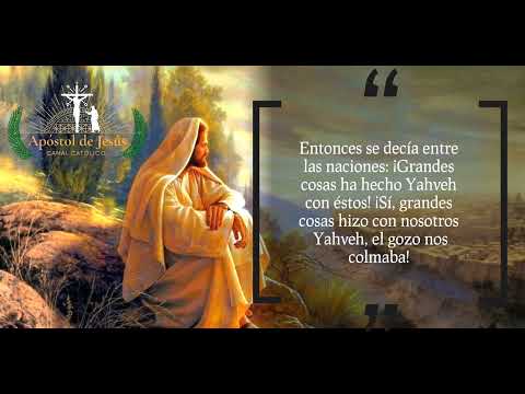 Salmo 126 Salmos Biblia Católica #BibliadeJerusalén