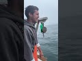 Did We Just Find A UFO Part 1