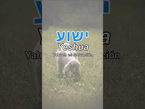 Así se Escribe Jesús ישוע en Hebreo