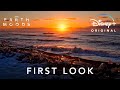 Earth Moods | First Look | Disney+ NL