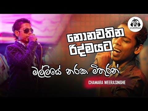 Malliye Naraka Mithuran | මල්ලියේ නරක මිතුරන් | Chamara Weerasinghe | සනිධප Mega Night