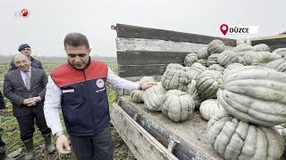 Coğrafi İşaretli Kestane Kabağı Hasadı Başladı