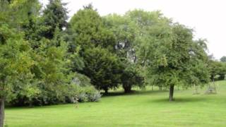 preview picture of video 'Lisieux Maison Propriété Manoir Jardin arbres centenaires'