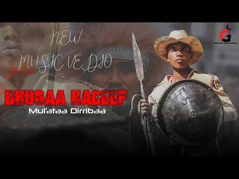 Mul'ataa Dirribaa  - Dhugaa Haceef / New Oromo music 2023 (Official video)