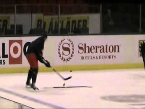 NHL 008_xvid.avi